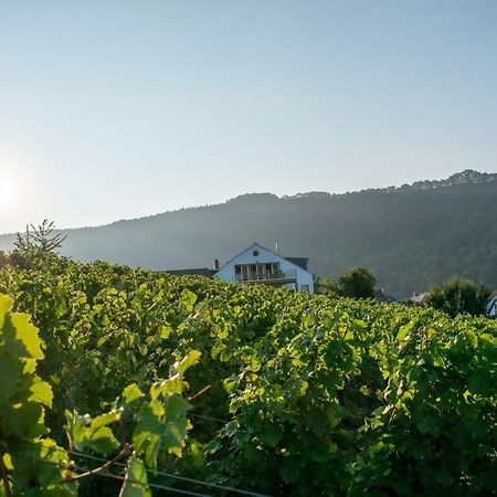 Weingut Johanneshof Minheim Zewnętrze zdjęcie