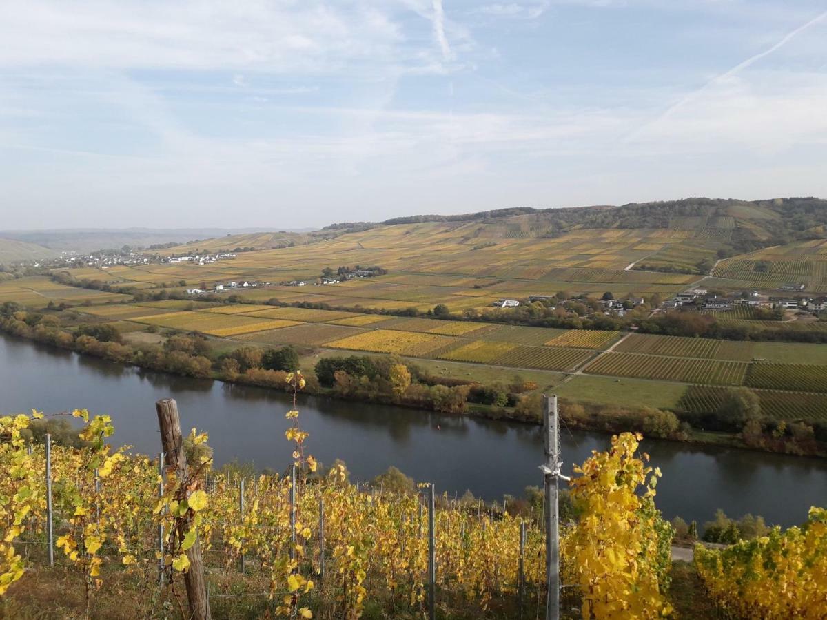 Weingut Johanneshof Minheim Zewnętrze zdjęcie