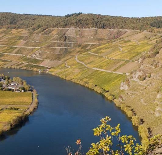 Weingut Johanneshof Minheim Zewnętrze zdjęcie
