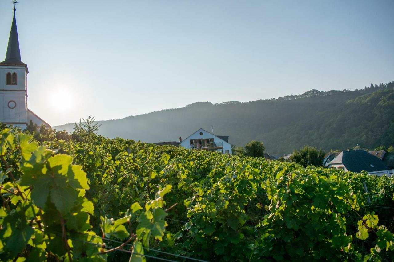 Weingut Johanneshof Minheim Zewnętrze zdjęcie