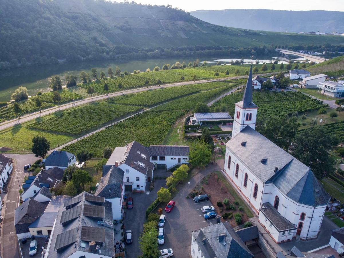 Weingut Johanneshof Minheim Zewnętrze zdjęcie